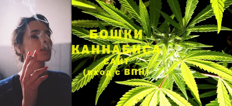 Бошки Шишки SATIVA & INDICA  мега ССЫЛКА  Тара 